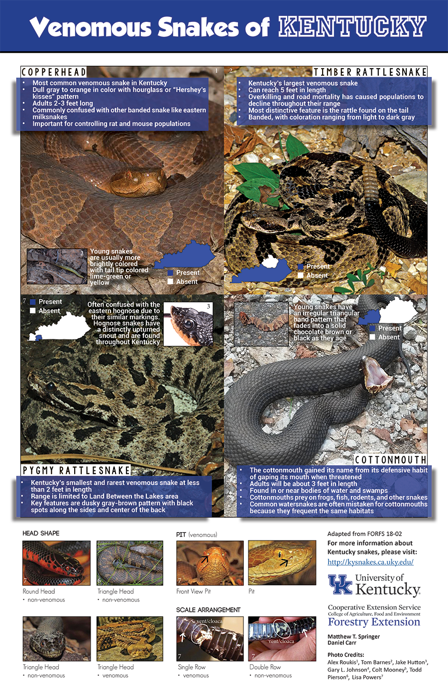 Snake Site Payment information
